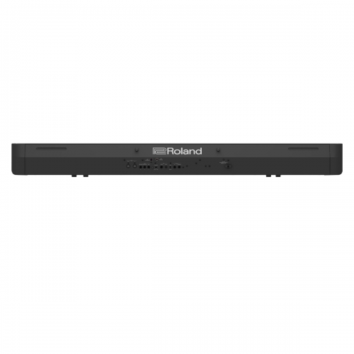 Roland FP-90X BK Black
